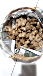 Jahe Emprit Cuci Super & Kesehatan