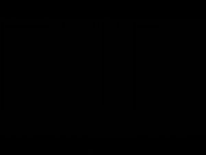 nagaraku Y shape / nagaraku Yshape / nagaraku Ylash