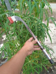 PISAU SADAP KARET AAA BIDOR BESAR ORIGINAL MADE IN MALAYSIA SANGAT COCOK UNTUK POKOK TUA KUALITAS SANGAT BAGUS.