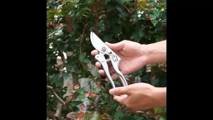 Gbest Sk5 Garden Plant Pruning Shears Tree Pruner Branch Scissor Stainless Steel Flower Scissors Home Hand Bonsai Tool Rambutan Cutter Gardening Planting Tools And Equipment Secateurs Shear Grafting Prunning Trees Prune Fruit Trimmer