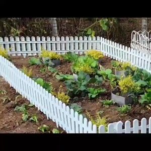 PVC Plastic Outdoor Garden Fence & Plants Borders: A Comprehensive Guide