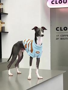 Winter Warm Pet Clothes for Dogs and Cats zeze