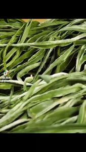 Rau Tiến Vua (Non Giòn Xanh Mướt) Rất Ngon Làm Gỏi Trộn Nộm Xào Đậm Đà Bổ Dưỡng (Có Hút Chân Không Theo Yêu Cầu)- Vựa Khô Minh Triết