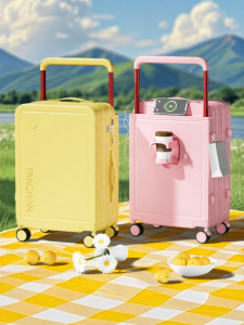 FP Travel | Lightweight New Password Lock Luggage 20 Inch