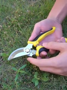 Gunting Premium pemotong dahan kayu Super Tajam Pemotong Tanaman Warna random