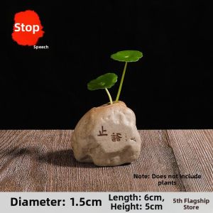 Creative Zen Style Ceramic Hydroponic Mini Flower Pot
