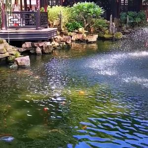 Máy Bơm Nước Sục Khí Tạo Oxi Cho Ao Hồ 1.1-1.5-2.2KW - Động Cơ Êm Lõi Đồng 100% -  Bảo hành Toàn Quốc 12 tháng