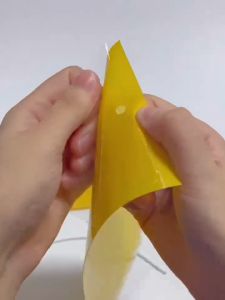 แผ่นกาวดักแมลง 2 หน้า กาวเหนียวพิเศษ ขนาด 20x15 / 25x20 เซนติเมตร กาว 2 หน้า กระดาษจับแมลง