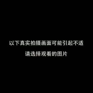 12pcs Cockroach Japanese Kill Cockroach Medicine/Non-Toksik Perangkap Lipas Pembunuh Roach Penangkap Fizikal