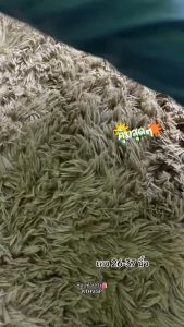 BRNG BRNG กางเกงขาสั้น | กางเกงขาสั้น สบาย ทุกเพศ ทุกวัย รองรับเก็บเงิน ปลายทาง ส่งด่วน 24/7