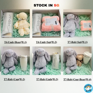 LOCAL SELLER 🇸🇬【Ready Stock】Gift Set /Birthday Christmas Gift/ Companion Gift/ Teachers Day/ Living Hampers礼品套装