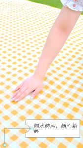 Fun Frog เสื่อปิคนิค เสื่อปิคนิคพับได้ ขนาด 200x200ซม. เสื่อปิคนิคกันความชื้น เสื่อปิคนิคกันน้ำแบบหนา เสื่อปิคนิค เหมาะสำหรับการตั้งแคมป์