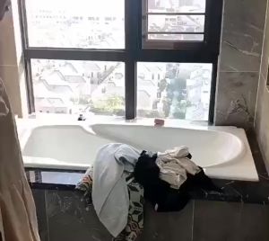 Túi lưới đựng quần áo bẩn có thể gấp lại giỏ đựng đồ bằng nhựa thoáng khí có sẵn màu đen và trắng