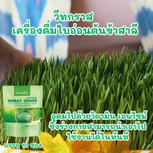 ต้นอ่อนข้าวสาลี วีทกราส กิฟฟารีน Wheat Grass Giffarine เครื่องดื่มต้นอ่อนข้าวสาลี