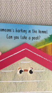 Little Tiger - Hide and Seek Book (Felt Flaps)