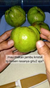 GARAM BUAH BUMBU RUJAK JAMBU KRISTAL RASA KIAMBOI KEMASAN CURAH PER 500 GRAM