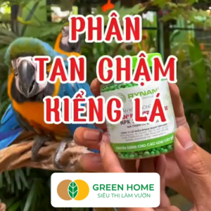 Phân Tan Chậm GreenHome Rynan 230 Bao 500gr Dùng Cho Hoa Kiểng Kiểng Lá Trước Khi Ra Hoa