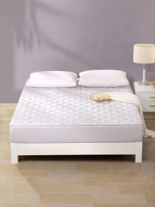 FUANNA (富安娜) | Dustproof Bed Protector with Padding