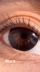 SOFTLENS LIVING COLOR MISTIQUE NORMAL & MINUS (-0.50 SD -6.00) IRISLAB BIG EYES DIA 16MM