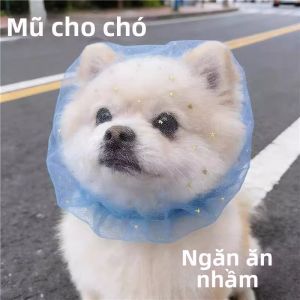 Petone dOrage | Mặt Nạ Mõm Chống Ăn Liếm cho Thú Cưng Nhỏ và Vừa