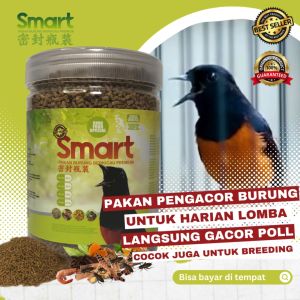 Smart pakan pengacor murai batu langsung gacor poll - 500 gram