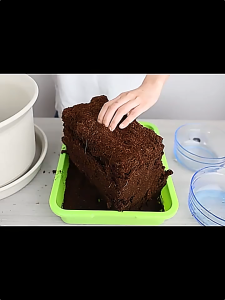 Coconut Brick Nutrient Soil: A Comprehensive Guide