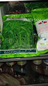 Paket Hemat 3 Bungkus Benih Kangkung Bangkok LP1 1kg