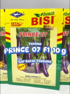 Benih Terong Unggu Prince 07 10 Gram Cap Kapal Terbang dataran rendah menengah unggul bibit biji sayur lodeh hidroponik hydroponik