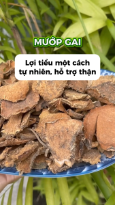 [Hàng mới về] Cây móp gai khô 1kg Củ móp gai Trà rễ mướp gai khô - Tấn phát