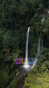 Procella Springbed Elysian Rejuve Series pocket latex euro top plush pillow top Matrass & full set Procella