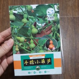 Hạt giống bầu hồ lô trái nhỏ hạt giống nhập khẩu hàng y hình shop đăng