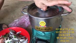 Máy xay thịt giò chả 750W