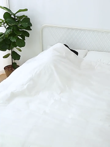 [Ready Stock Local] [Fast Shipping] Disposable Bed Sheet Set  | Travel Hotel Homestay | Double 4pcs / Single 3pcs