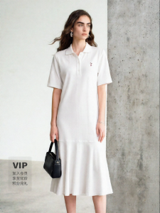 Embroidered Polo Collar Dress for Women