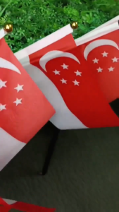 【SG Ready Stock】14*21cm Singapore Waving Hand Flag /National Day Singapore Flag / Food Toothpick Flag Decoration