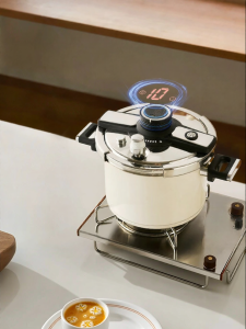 KIMS COOK | Compact Home Universal Gas & Electric Cooker Pressure Cooker