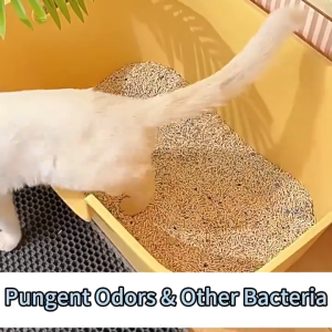 Safe for pets Easy to use. Safe for pets Easy to use.🐱Simply place it to eliminate odors at the source🐶Pet Deodorizing Canister deodorant spray cat litter deodorizer pet deodorant spray pewangi Dog and Cat litter deodorizer