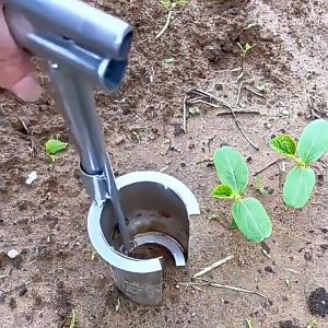 Transplanting Puncher Stainless Steel Transplanter Garden Planter Tool Planting Tool Handheld Mini Garden Hand Tool