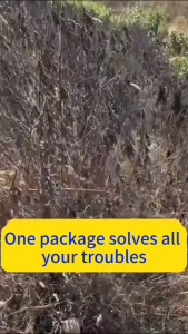 Root rot herbicide removes miscellaneous trees bamboos shrubs weeds fire prevention roads road weeding