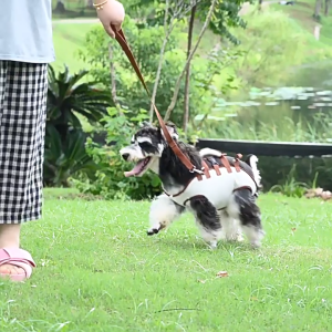 Portable Adjustable Crossbody Pet Carrier Bag for Small Dogs Cats Outdoor Travel Breathable Shoulder Strap Cartoon Design