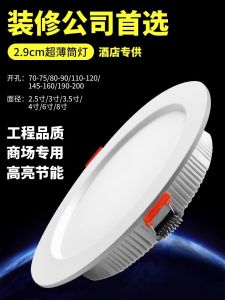 Ultra-Bright Large-Power Embedded Downlight Shop Lighting Storefront Hole-In-The-Wall 20cm Workwear Ceiling Lamp