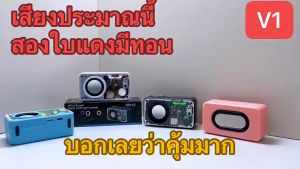 ลําโพงไร้สาย V5.3 ลําโพงทรงพลัง ไฟ LED 1800mAh แบตเตอรี่ขับเคลื่อนลําโพงขนาดเล็กกลางแจ้งแบบพกพารองรับ TF Card