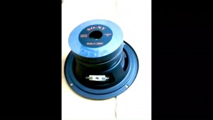 Loa bass 12 cm Sony từ kép 80 gân cao su  chất âm hay- giá 1 chiếc