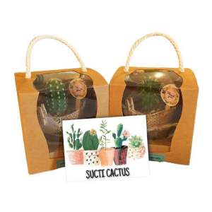 Door Gift Cactus Succulent Mini Pot in Woven Cloth Kain Guni Ribbon Lace Decorations Set Souvenir Cenderahati Party Pack