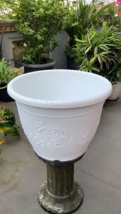 Pot Bunga Tanaman Shallom Glory 50 Putih Bahan Tebal - SHALLOM JUMBO 50 PUTIH