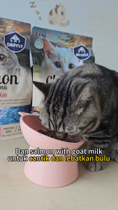 POODEE Sniffly Cat Dry Food 1.5kg Cat Kibbles Cat Food Hair Skin Goat Milk Indoor Goat Milk Makanan Kucing 猫粮