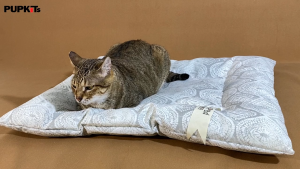 Pupkits Pet Mat for Dogs & Cats | Soft Washable Durable Floor Mat | Stylish Designs