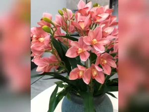 【Direct-sales】 10 Heads big latex feel Cymbidium artificial flowers latex orchid bunga orkid 3D wedding photography Home Decoration