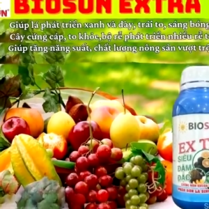 Phân Bón Lá Sinh Học BIOSUN EXTRA 500ml – Siêu Đậm Đặc Lá Xanh Trái To Rễ Khỏe Chống Nấm Nhẹ