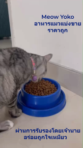 แบ่งขาย [repack] Royal Canin hair&skin รอยัลคานิน อาหารแมวราคาถูก สำหรับดูแลผิวหนังและเส้นขน